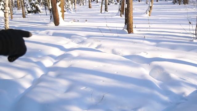 Нашли пришельца в лесу и засняли его на камеру!