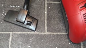 Bosch Ergo Max Professional Toy Vacuum Cleaner By Theo Klein Unboxing & Demonstration