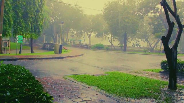 Park Rain White Noise: Deep Sleep and Nerve Calming Ambiance #DeepSleep #NerveCalming #NatureSound смотреть онлайн