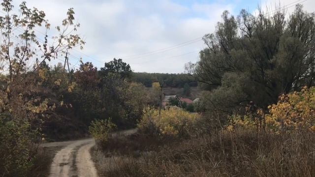 ВСЕГДА ЗАМЕЧАЮ ТОЛЬКО КРАСИВОЕ смотреть онлайн