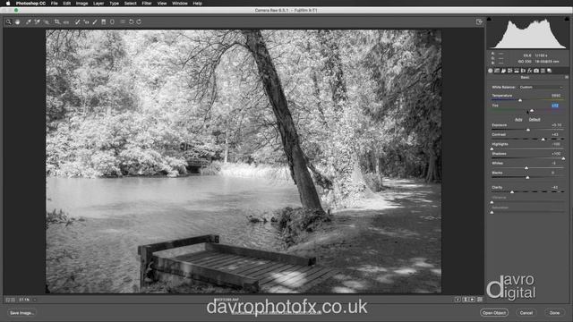 Creating an Infrared Effect in Adobe Camera Raw - Photoshop смотреть онлайн
