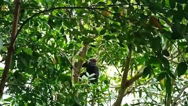 А кто были Ваши соседи?)) смотреть онлайн