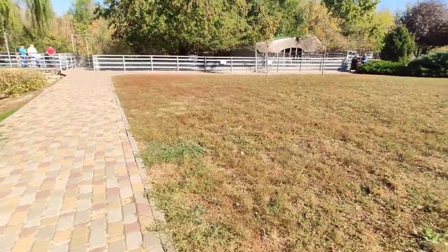 Мой визит в Ростовский-на-Дону Зоопарк смотреть онлайн