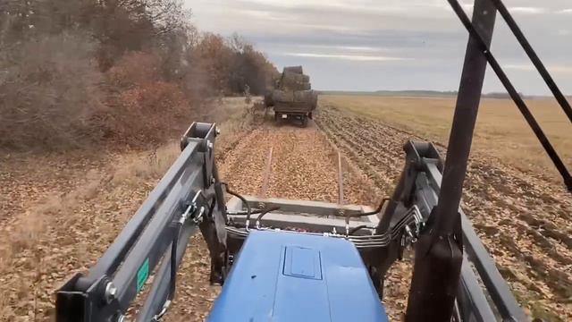 Рабочие моменты / Возим рулоны / Китаец выручает ( спасает Татарина) смотреть онлайн