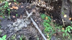 Где искать россыпи золота? Признаки золотоносных мест