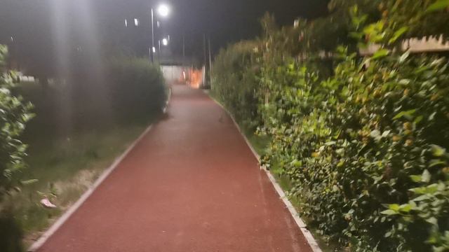 Ночной Лесной бульвар Протвино смотреть онлайн