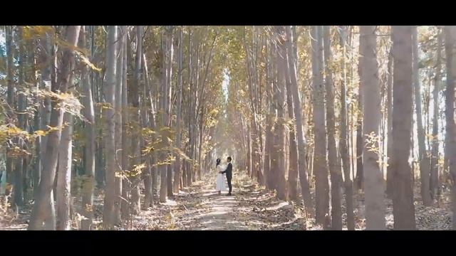 Nurdaulet & Akmaral. love story❤️сен қасымда болмасаң смотреть онлайн