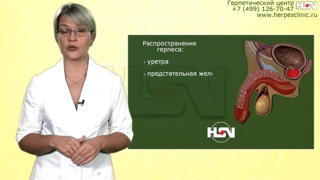 Герпес., красочный рассказ эксперта Герпетического центра Москвы смотреть онлайн