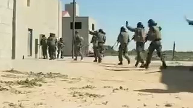 Fleet Anti-Terrorism Security Team Company Europe/Lisa Azul Final Exercise смотреть онлайн