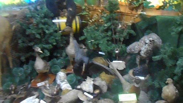 Шмаковка.Приморский край.Музей. смотреть онлайн