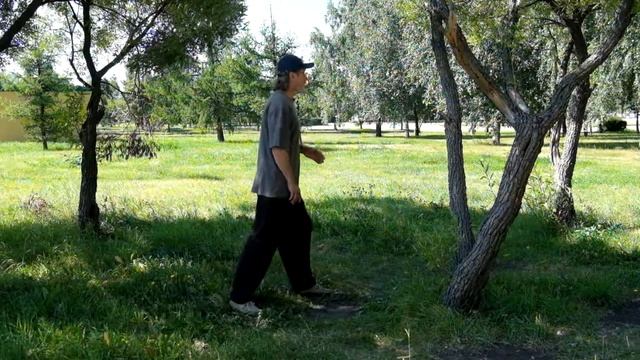 Грива дикой лошади смотреть онлайн