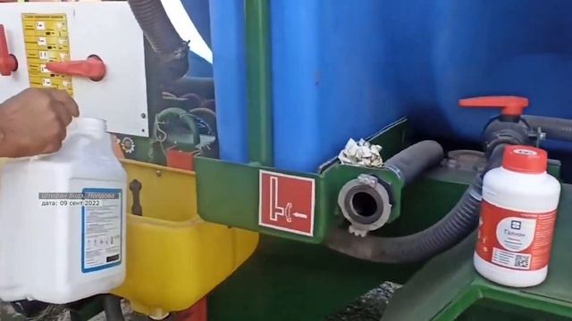Как себя чувствует рапс после рострегуляции || 09. 09. 2022 смотреть онлайн