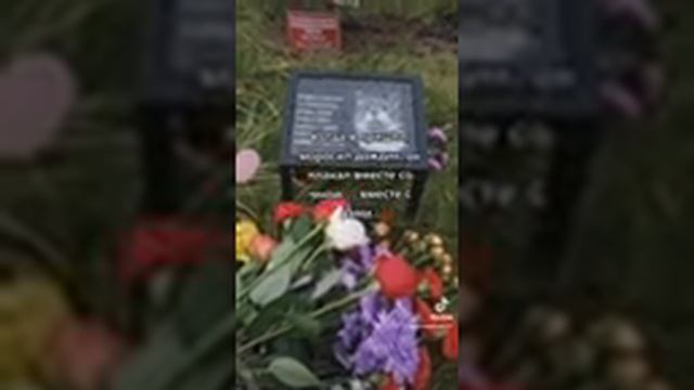 Наказать живодеров!!! Кузя из Северодвинска! Они не должны жить среди нас!!!! смотреть онлайн