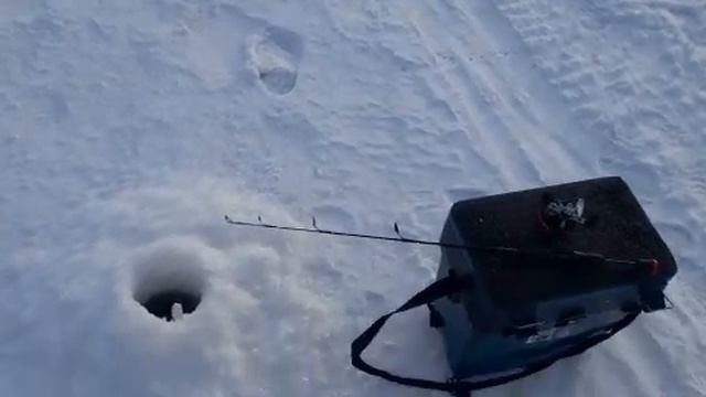 Утро, глухозимье, рыбачим на волге 2023 год смотреть онлайн