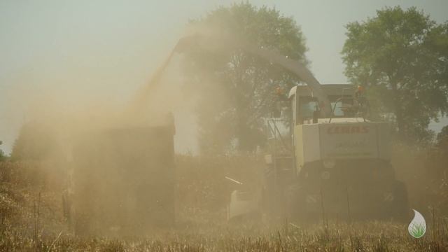 Уборка соломы мискантуса (весна 2017)Miscanthus straw harvest смотреть онлайн