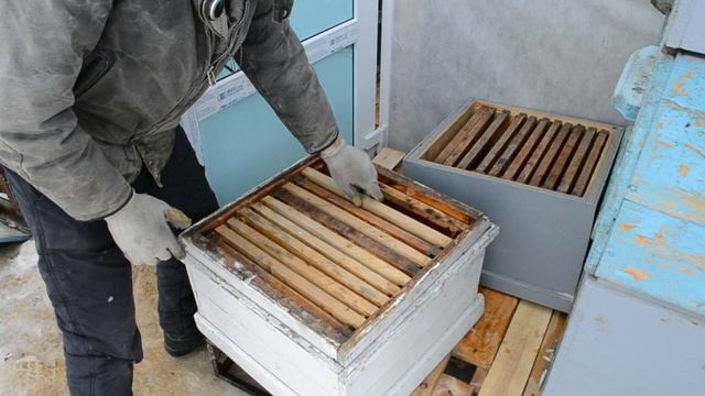 Сохранность суши/моль,мыши,крысы смотреть онлайн