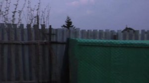 СТРОИМ  ВЫГУЛ ДЛЯ ПТИЦЫ (ИНДЮШАТНИК) НА МЕСТЕ КОМПОСТНОЙ КУЧИ,  ЛЕТНИЙ ЗАГОН. ДОМ В ДЕРЕВНЕ.