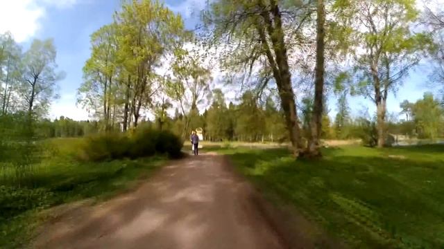 Одна из главных достопримечательностей города Гатчины, Дворцовый парк смотреть онлайн