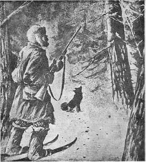 Проверяем петли на зайца. Оторвалась лиса. Есть заяц. Часть 2