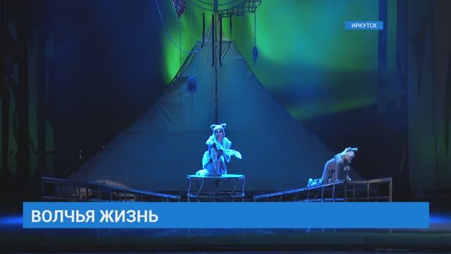 Премьера мюзикла «Белый Клык». Сюжет ТК АИСТ смотреть онлайн