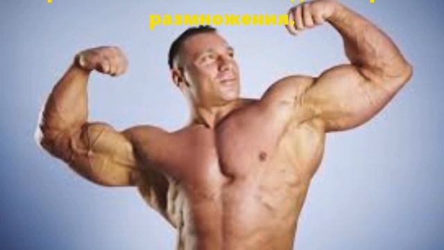 🕐Какой ГОРМОН в какое время?🕕 смотреть онлайн