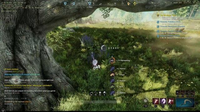 New World Gathering - Rawhide (Top Spots) смотреть онлайн