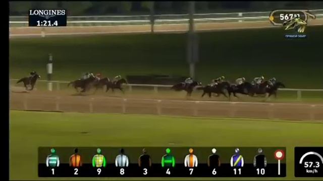 Английский чистокровный жеребец Кабирхан, победитель скачки в Дубае. #лошади #скачки смотреть онлайн