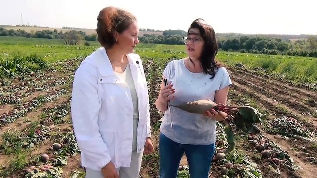 СВЕКЛА СКАЖЕТ ВАМ СПАСИБО! ОСЕНЬЮ ПРОСТО СДЕЛАЙТЕ ТАК