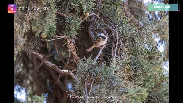 Landscape Photographer - Пейзажная фотография Что это такое ?