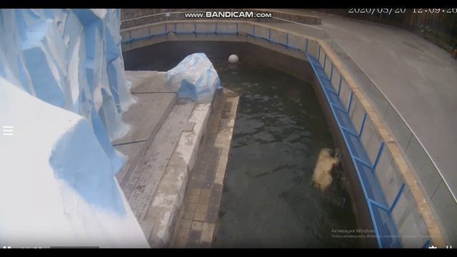 Докладываю всем: я поплавал! 20.05.2020 смотреть онлайн