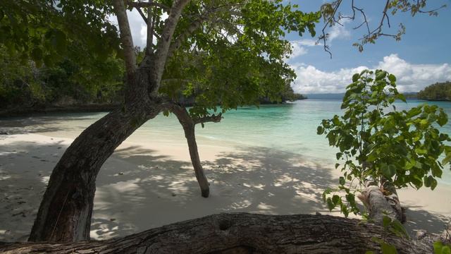 4K HDR A Tropical Day - Peaceful Moments On A Wild Tropical Island - Relaxing Ocean Wave Sounds