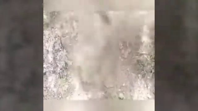 Вот как ловят рыба в африка смотреть онлайн