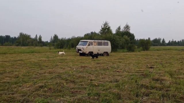 Сенокос в Якутии. 2021 год. Пожары в Якутии смотреть онлайн