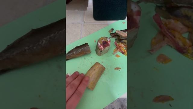 Цирковые Представления и Шоу