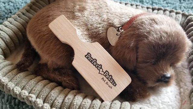 Perfect Petzzz Pets Mini Realistic Sleeping Dog Toy Review смотреть онлайн