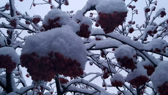 ДЕНЬ МИНЫ КРАСНОРЕЧИВОГО 23 декабря. Продолжаться ЭТО будет каждую ночь. смотреть онлайн