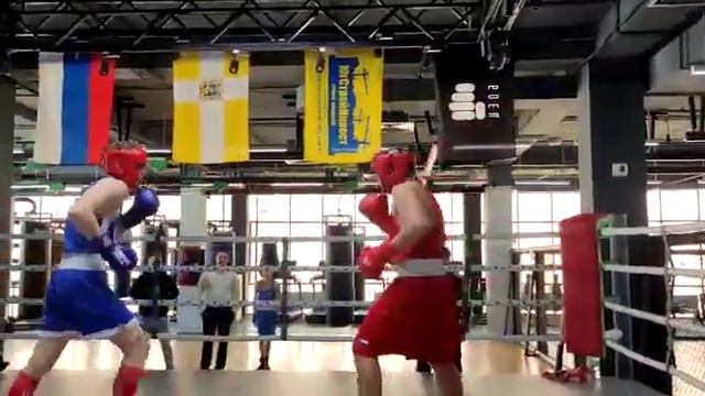 Артур Гриненко бокс, в синей форме, спаринг 12.02.22 смотреть онлайн