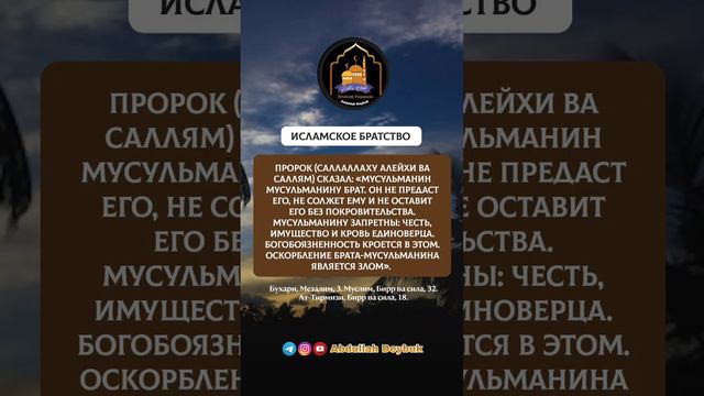 ИСЛАМСКОЕ БРАТСТВО. #abdullahdeybuk смотреть онлайн