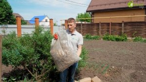 Чем мульчировать почву? ГЛАВНЫЕ ПРАВИЛА МУЛЬЧИРОВАНИЯ