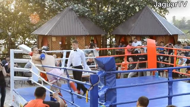 Турнир "Бои Чемпионов" смотреть онлайн