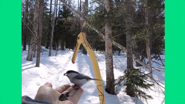 Апрельские проталины смотреть онлайн