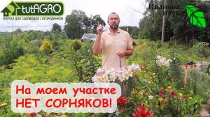 Как лучше всего превратить сорняки в удобрения. Безопасный и эффективный способ без потерь.