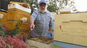 зимовка пчел в ульях ППУ и ППС - часть 1 - сборка гнезда и вентиляция при зимовке пчел на воле