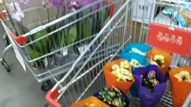 В?"Светофоре"?люди разбирают шикарные новинки: ковшик, фасадная краска и многое другое?? смотреть онлайн