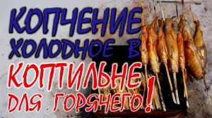 ХОЛОДНОЕ КОПЧЕНИЕ РЫБЫ В КОПТИЛЬНЕ ДЛЯ ГОРЯЧЕГО КОПЧЕНИЯ.