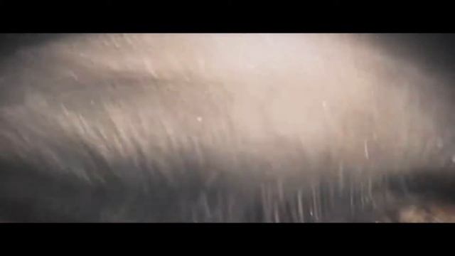 Animal Tremor — Net Suka!