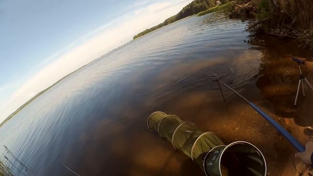 РЫБАЛКА на водохранилище ЗЕЛЬВА. ЛОВЛЯ НА ФИДЕР 2021. Подлещик летом! смотреть онлайн