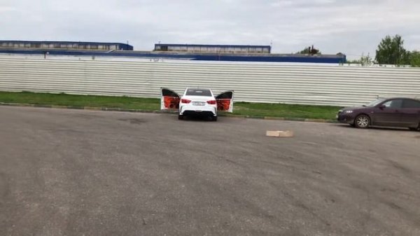 Одна пара alphard Arnold 20