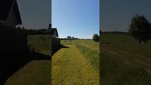Лосиха. Лосёнок. Дикие маты ! смотреть онлайн