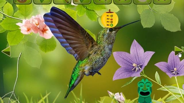 wonderful humming bird land escape video walkthrough смотреть онлайн